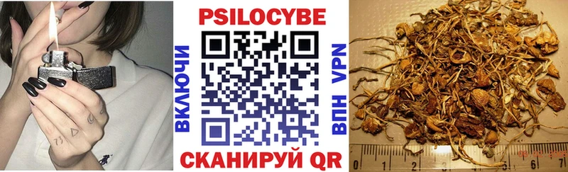Галлюциногенные грибы Psilocybine cubensis блэк спрут ссылка Арск